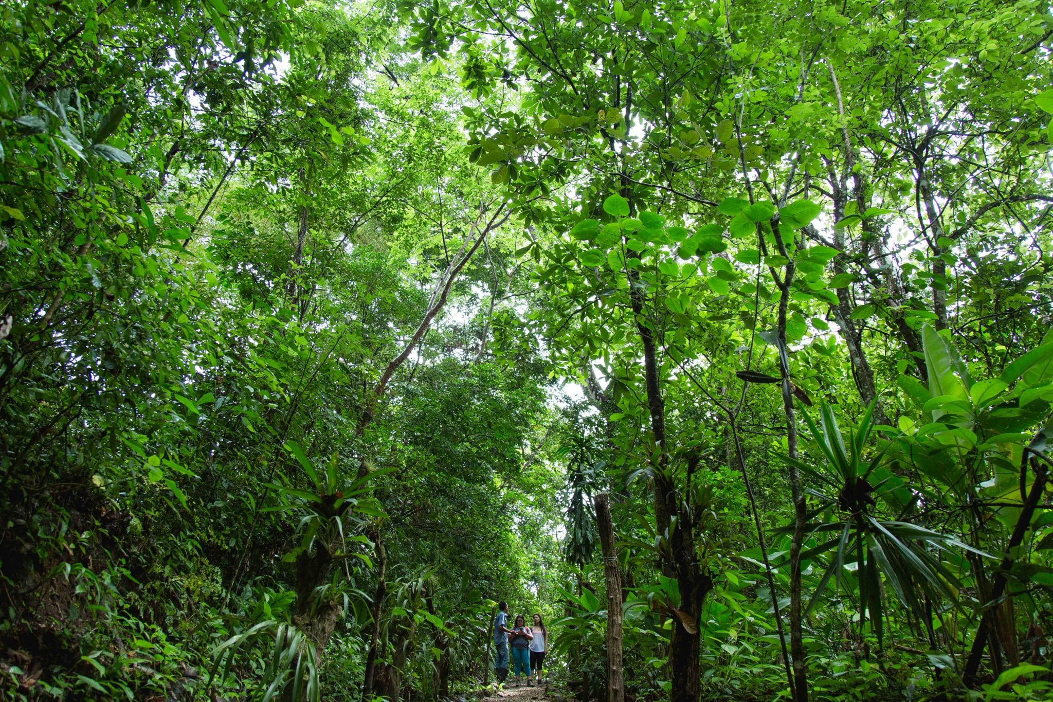 img-lugar